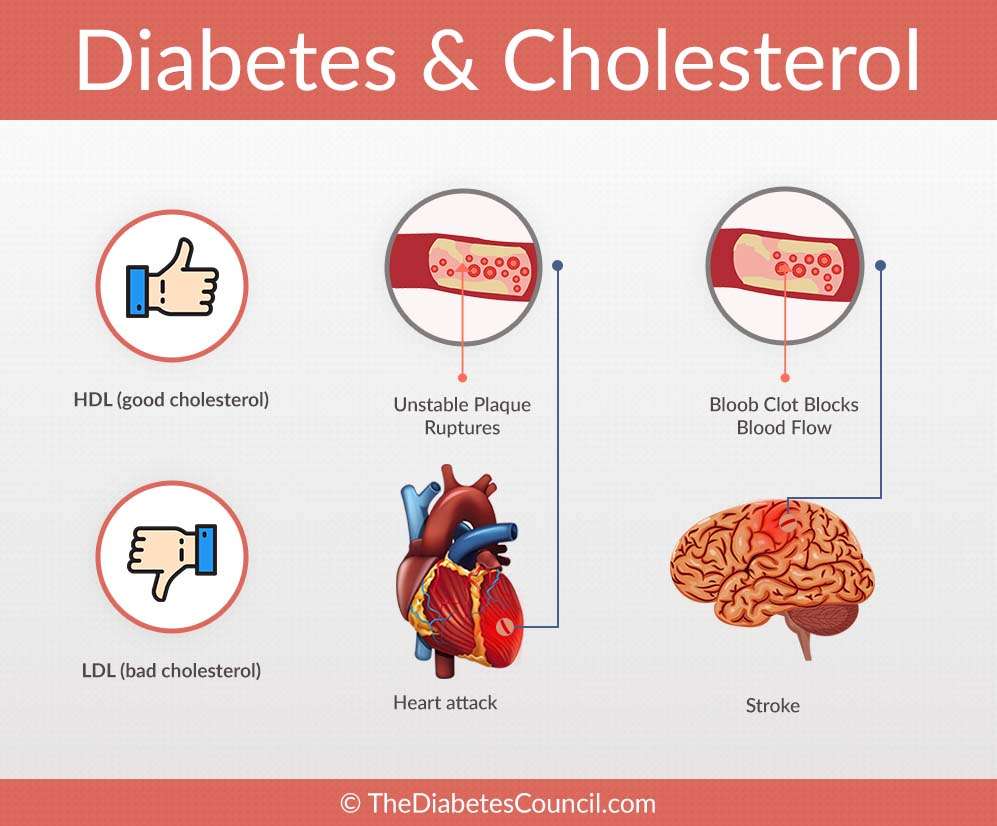 Why are cholesterol levels high â Health News