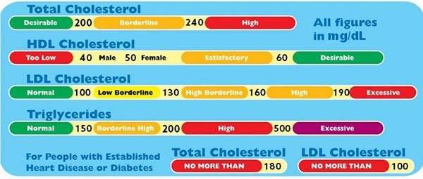 Why Low Cholesterol Is BAD For Your Health